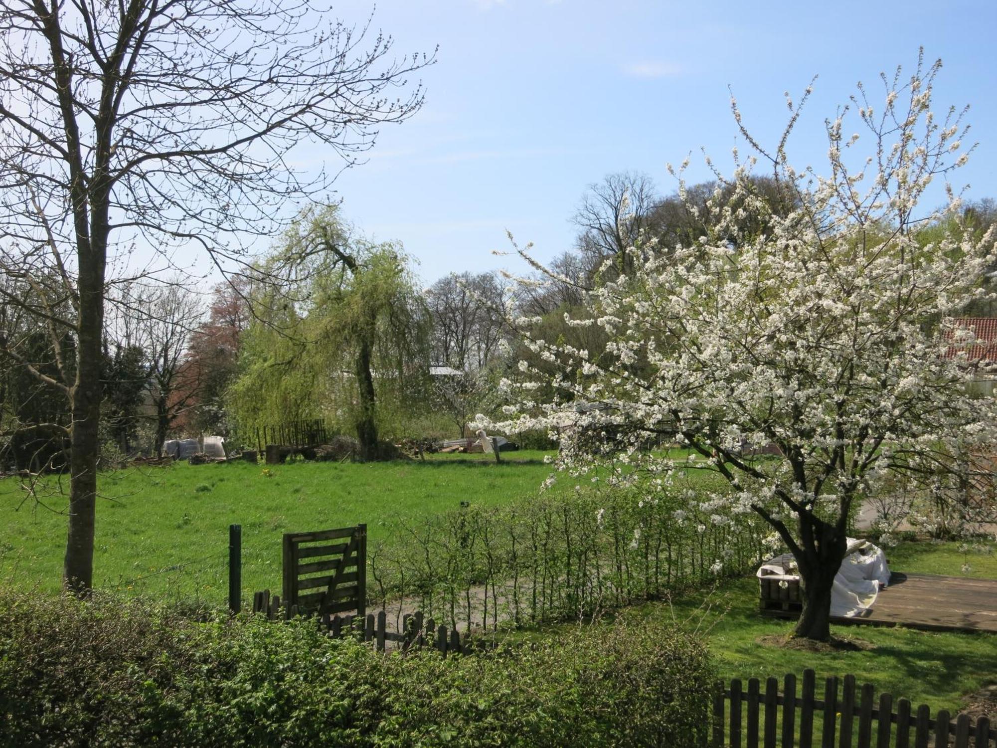 Ferienwohnung Am Teutohang Tecklenburg Esterno foto